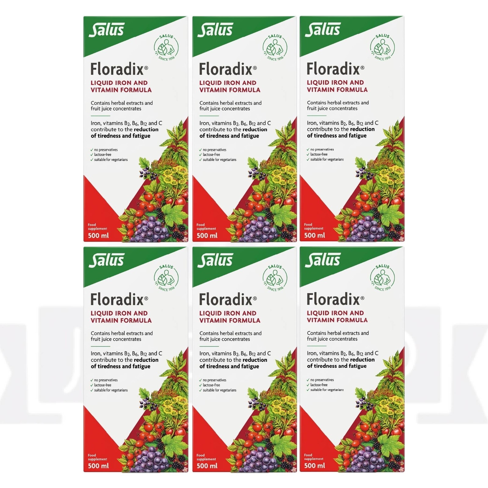 Floradix Liquid Iron & Vitamin Formula Energy & High Absorption 500ml Pack of 6