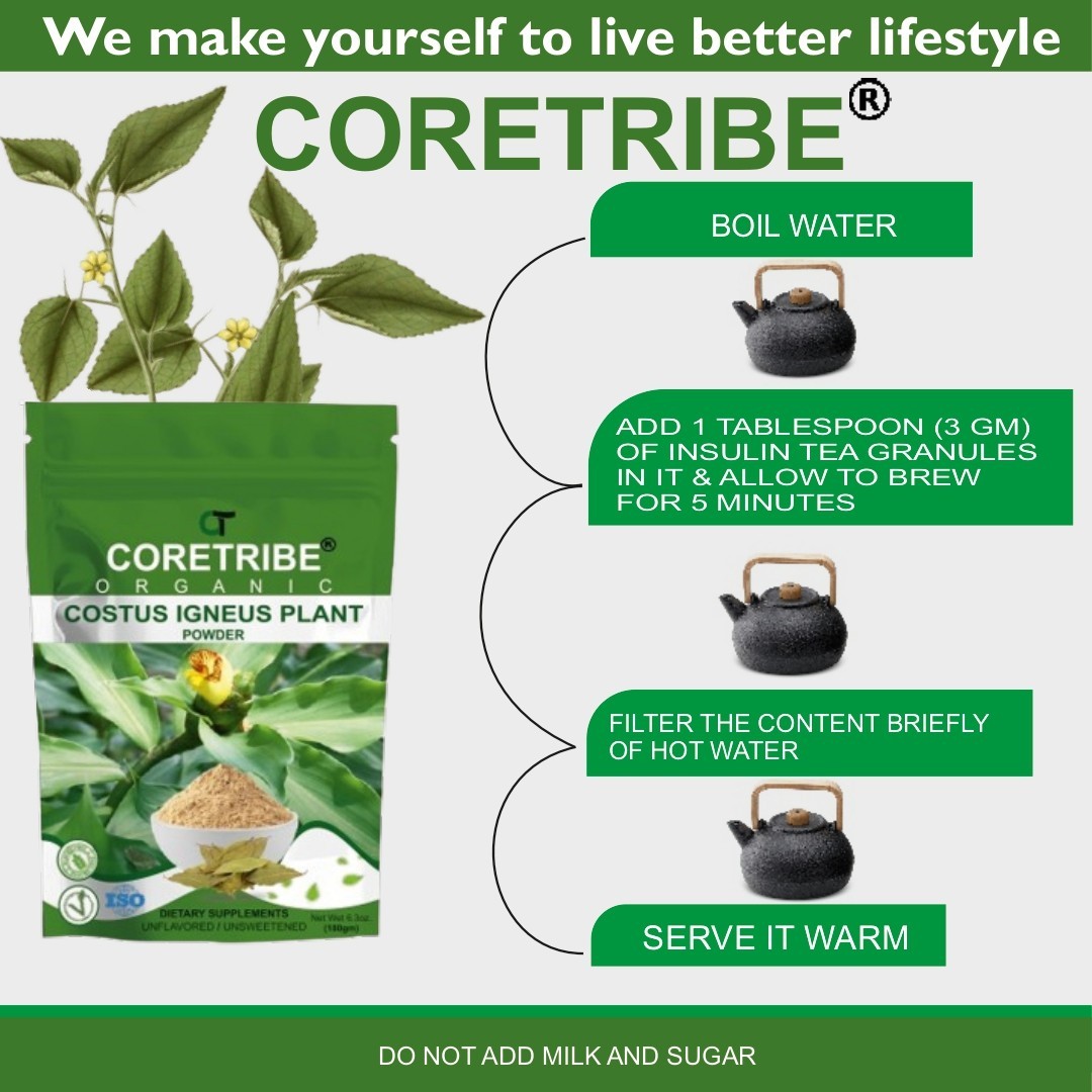 CoreTribe Costus Igneus Powder 180g Insulin Plant Leaf Pure Vegan