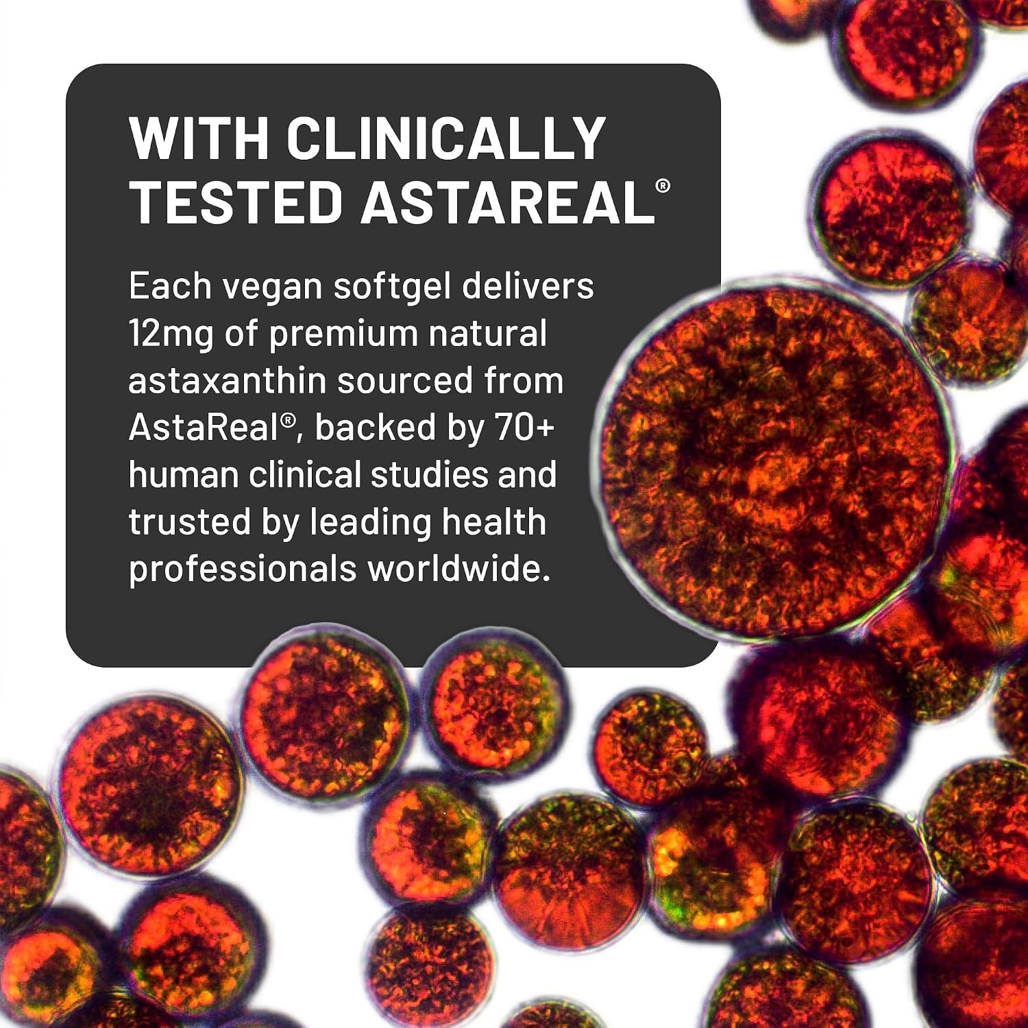 NatureWise Triple Strength Astaxanthin 12mg with AstaReal® – Vegan Antioxidant S