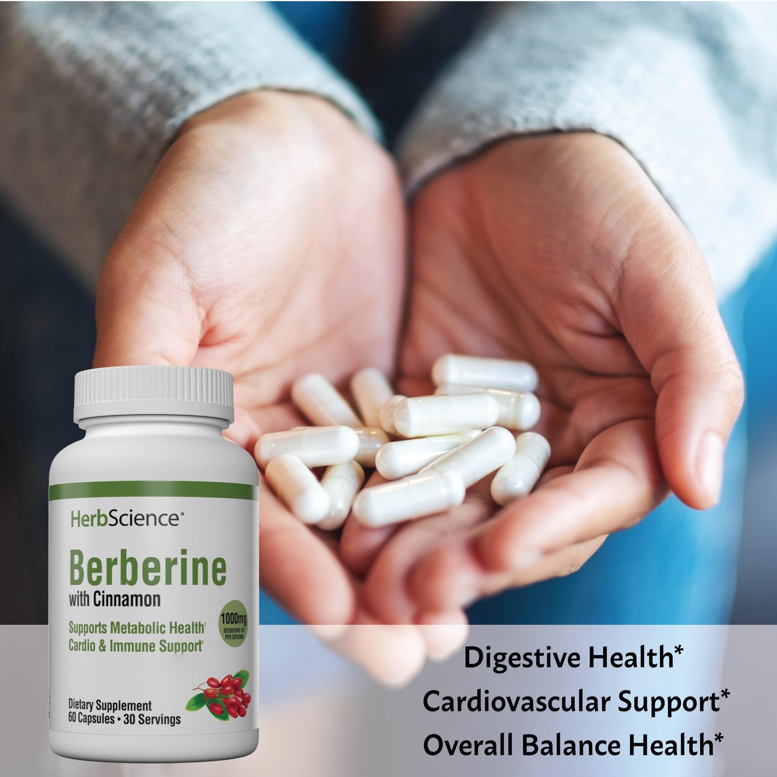 Windmill Herb Science Berberine 1000Mg Of Berberine Per Serving Supports