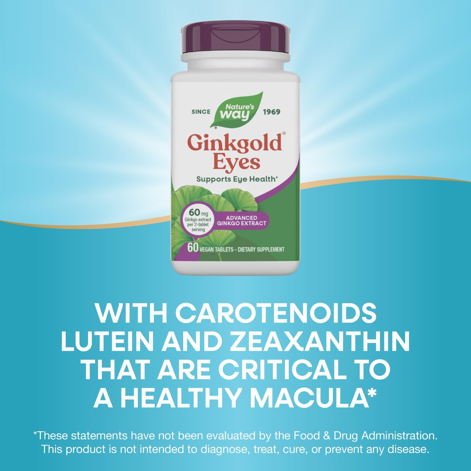 Ginkgo Biloba Eye Health Supplements – 60mg, Gluten-Free, 60 Tablets, Supports V