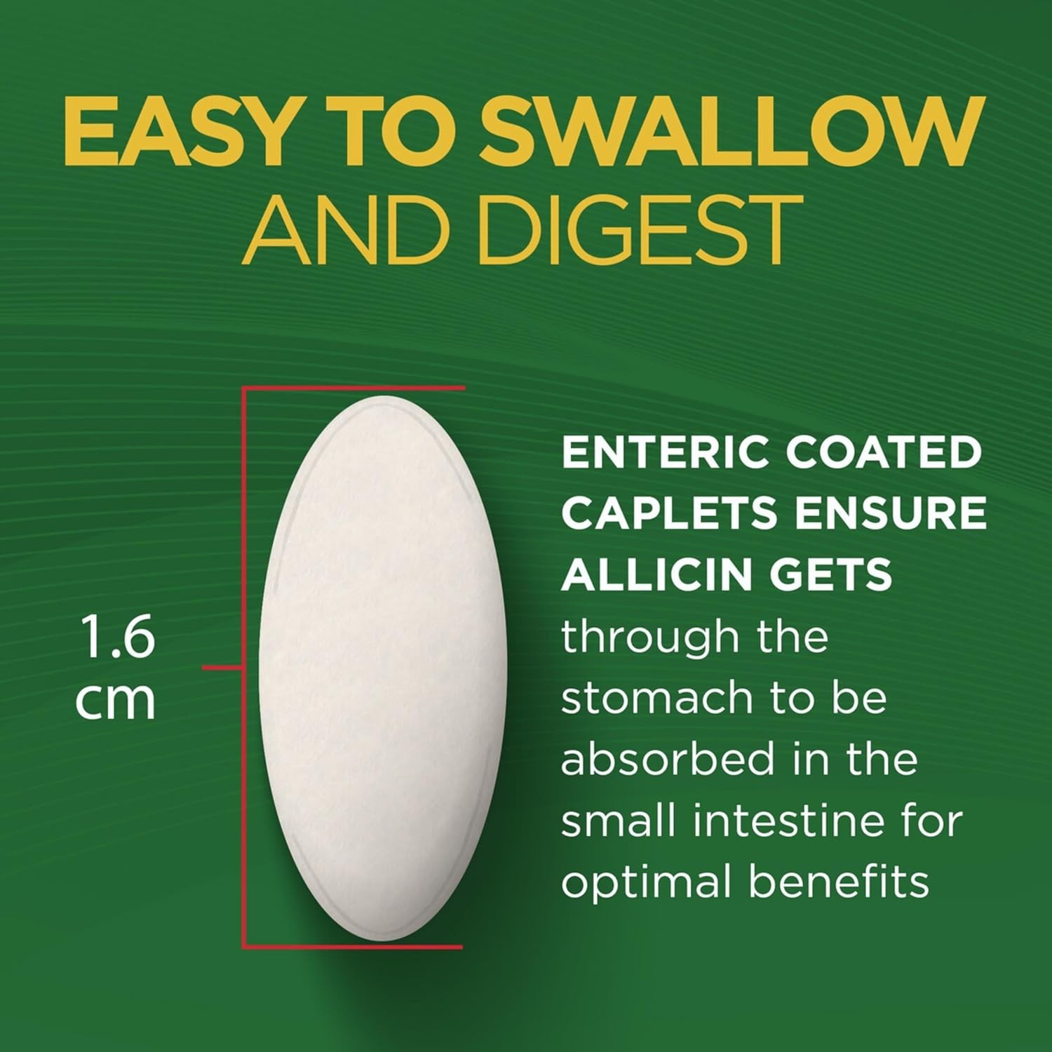 High-Potency Allicin Garlic Supplement, 60 Caplets for Cholesterol Control
