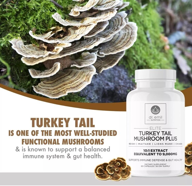 DR. EMIL NUTRITION Turkey Tail Mushroom Plus Capsules Supplement