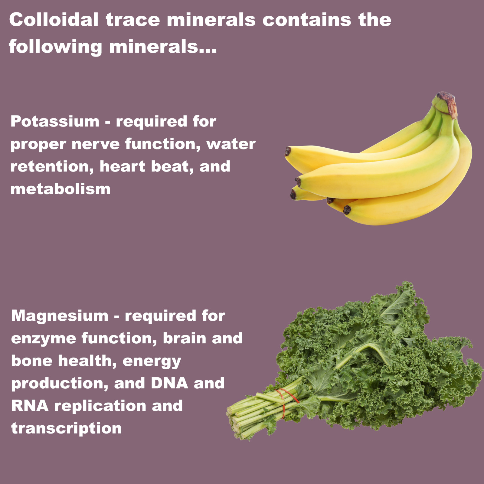 LifeLink Colloidal Trace Minerals | 100 capsules | Multi-Mineral Supplement