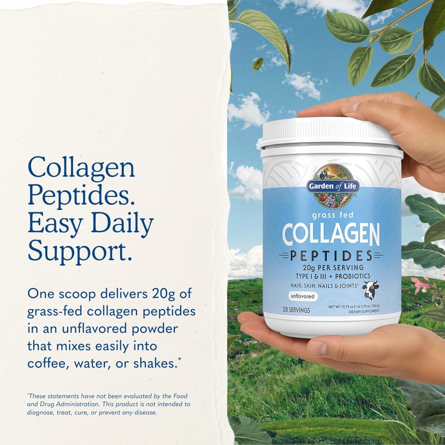 Clean Hydrolyzed Collagen Powder – Digestive Support & Skin Elasticity – 1.24lbs