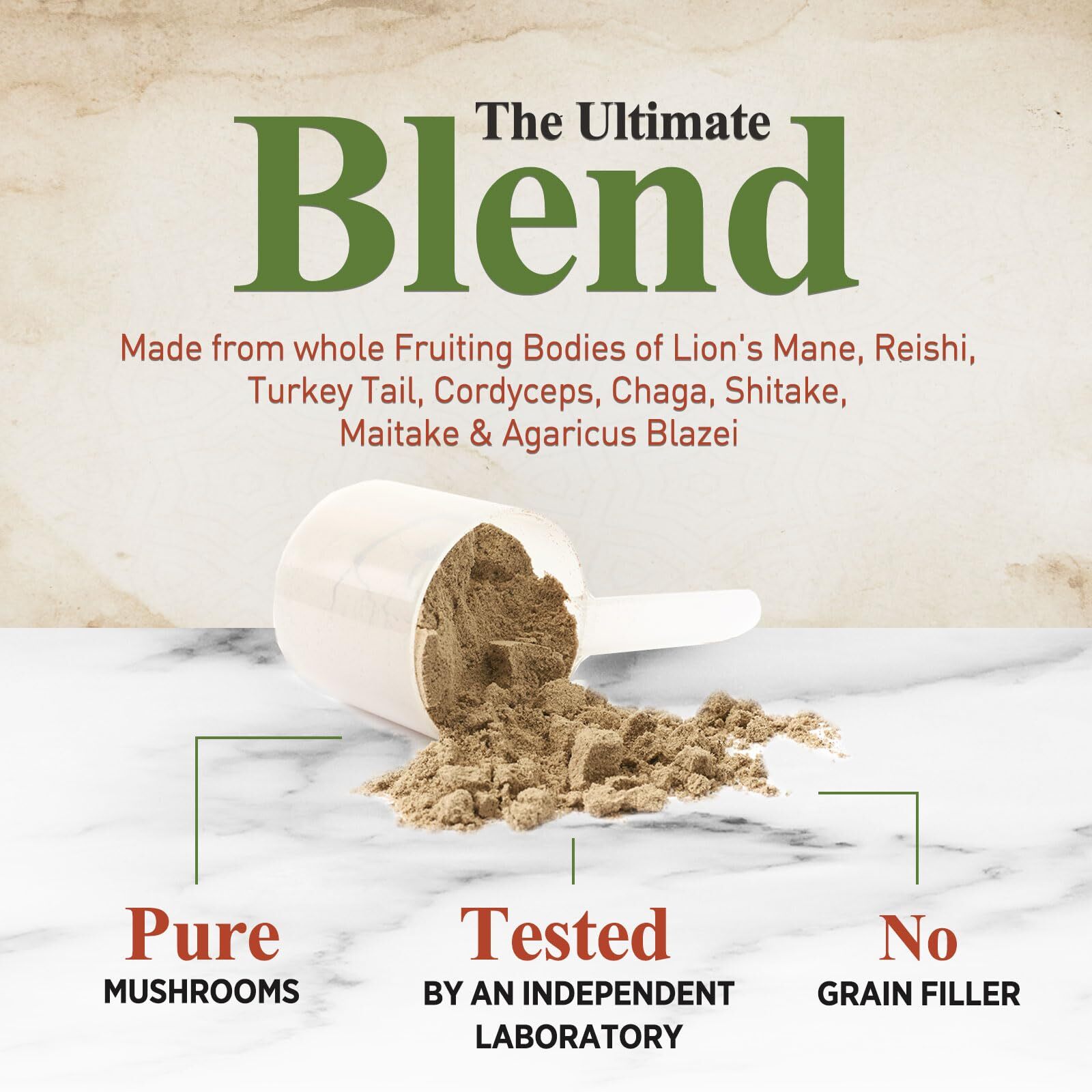 Organic Mushroom Supplement Powder – 11 in 1 Complex Nootropic & Adaptogens