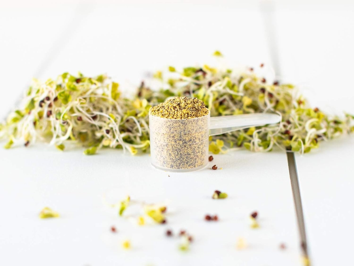 KOYAH Organic Broccoli Sprout Powder Freeze-Dried Active Myrosinase 36 Servings
