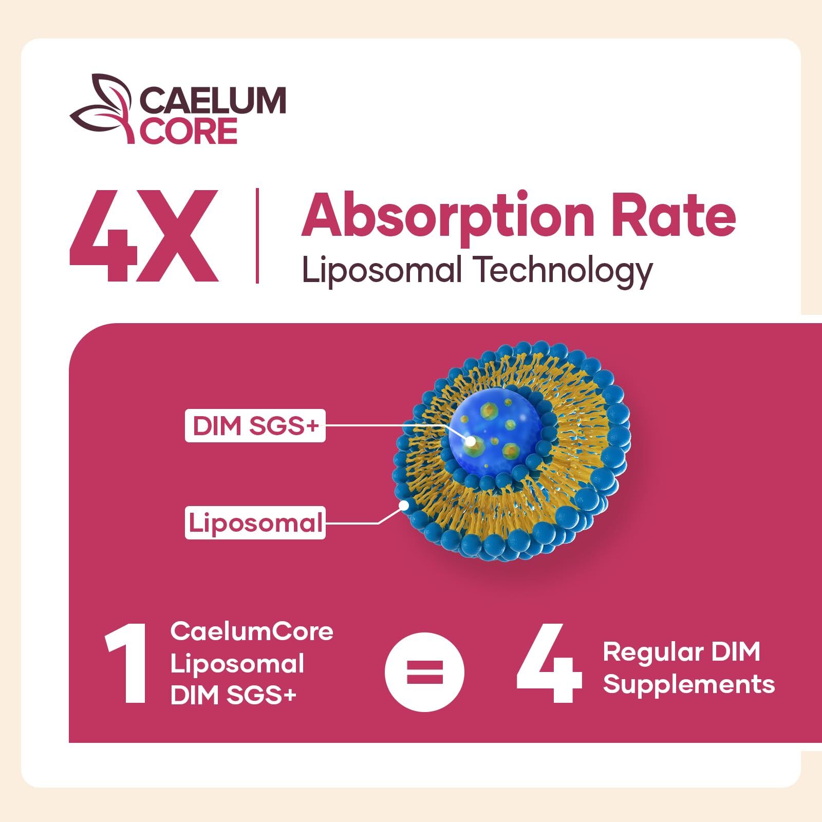 LIPOSOMAL DIM SGS Supplement Detox Antioxidant 600mg 60ct 2 Pack CAELUMCORE