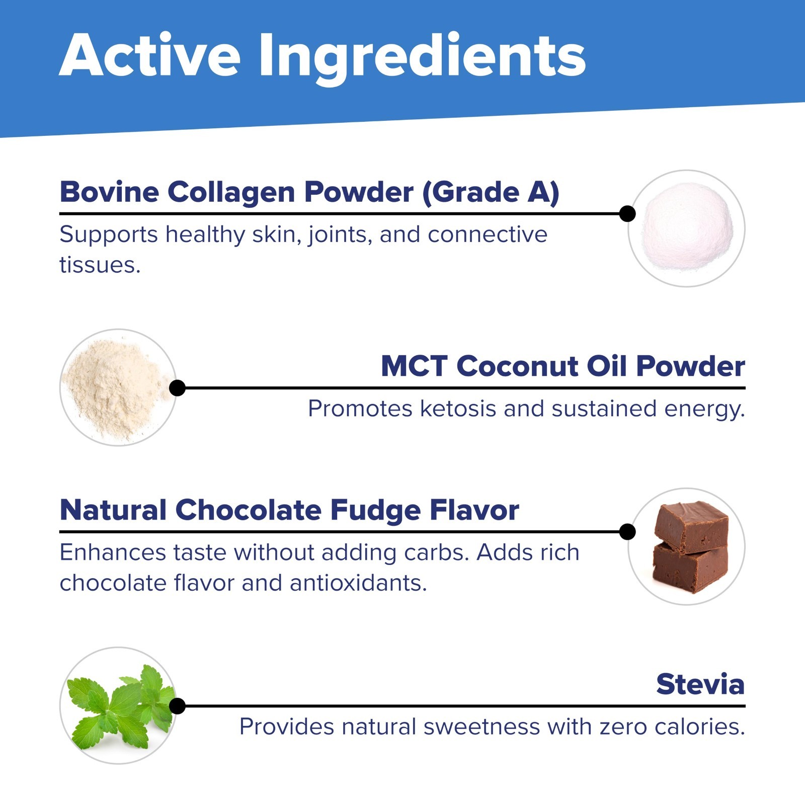 Keto Collagen Protein Powder with MCT Oil – Dairy-Free, Supports Hair, Skin, Nai