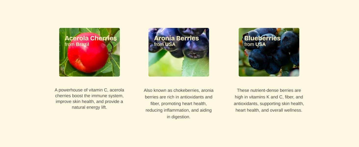 Organic Beauty Berries Superfood Powder for Skin Health Acai Maqui Aronia Chia