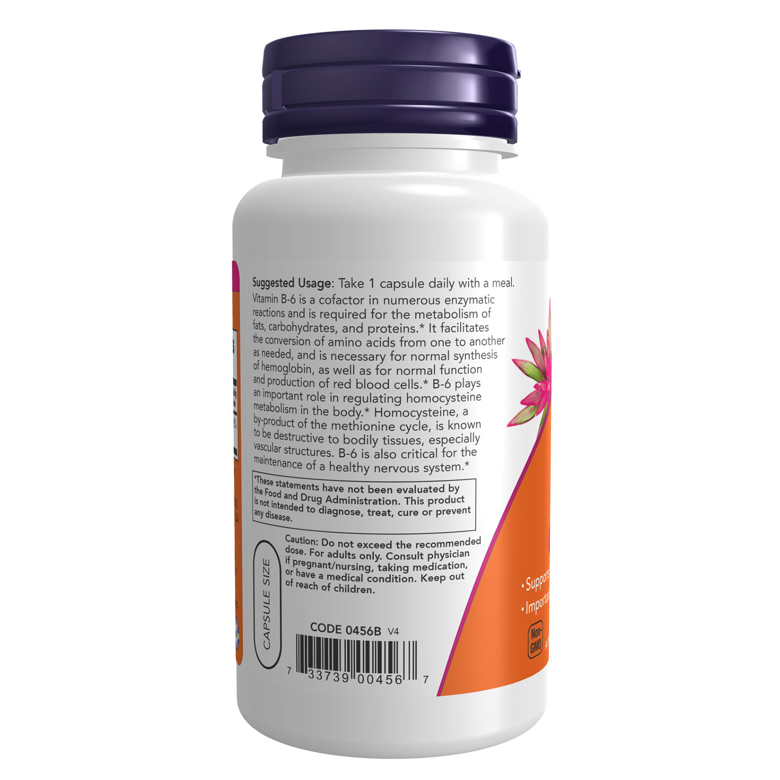 2 x NOW Vitamin B6 Pyridoxine HCl 100 mg Cardiovascular Health 100 Veg Caps