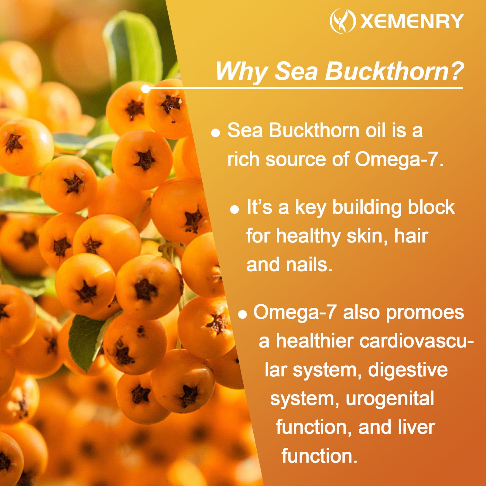 Omega-7 Sea Buckthorn Oil – Antioxidants, Skin, Cardiovascular, Vaginal Health