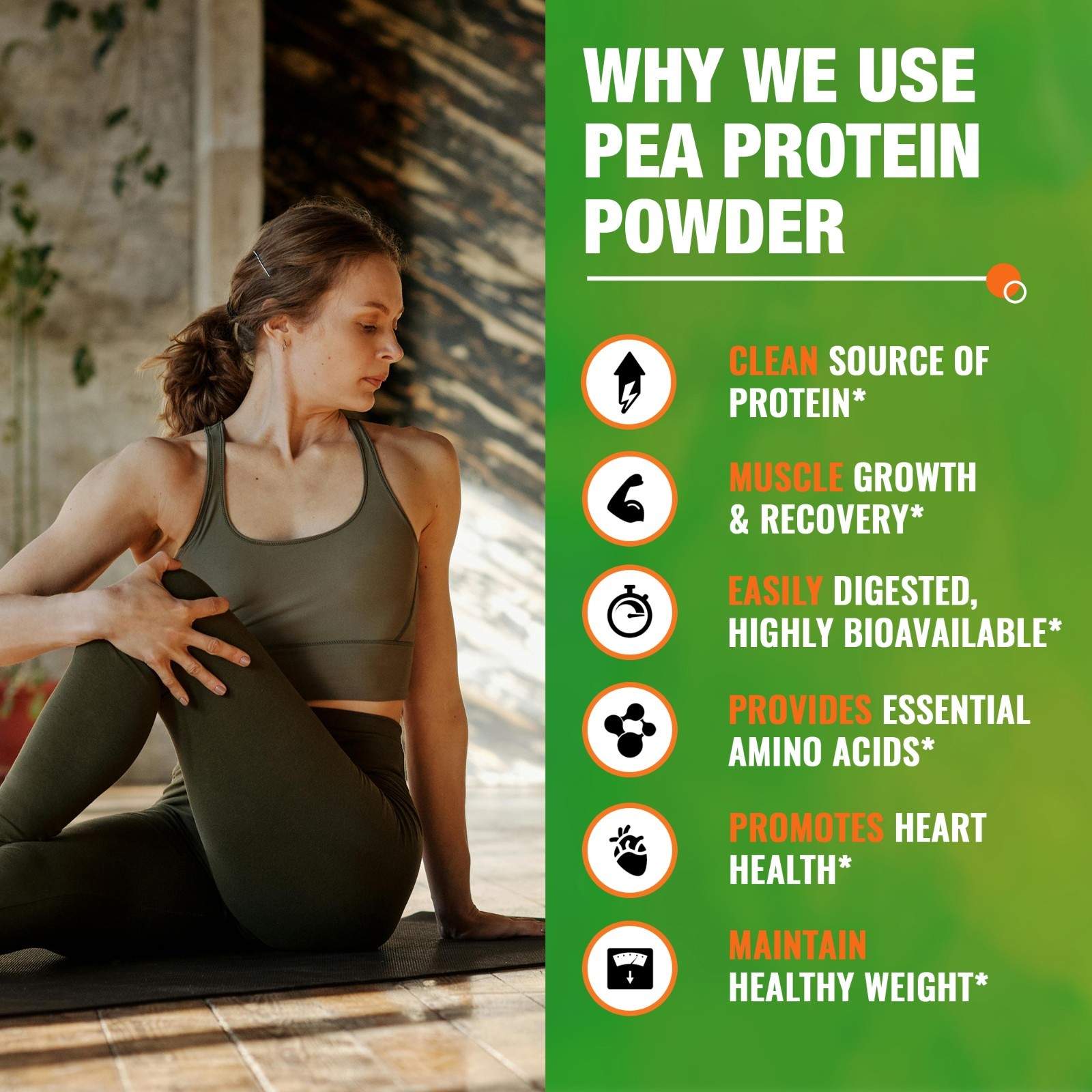 Organic Pea Protein Powder -2.62lb Unflavored Non-GMO Vegan Plant Protein Powder