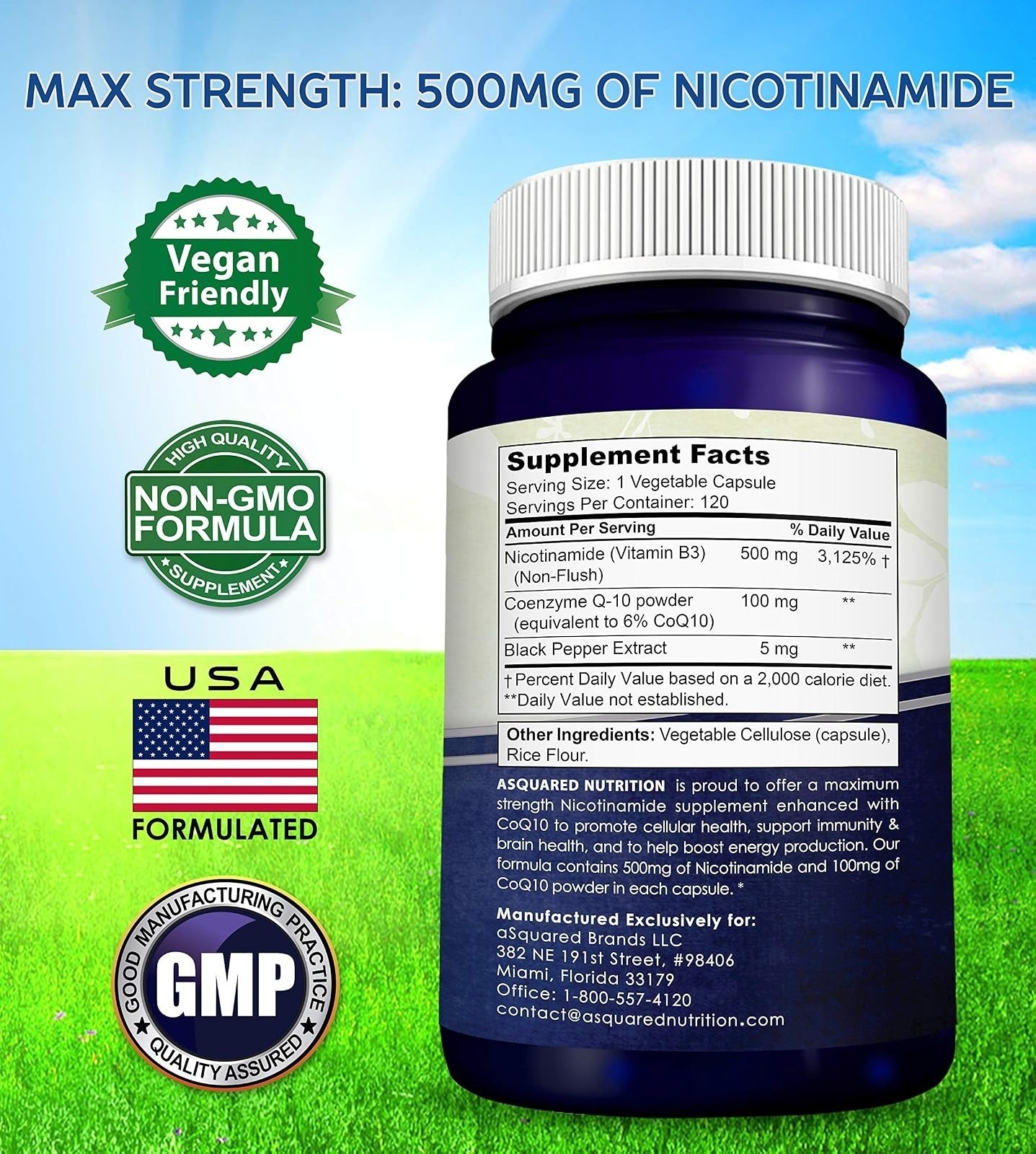 aSquared Nutrition Nicotinamide with CoQ10 120 Capsules – Vitamin B3 500mg