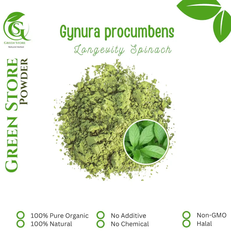 50 g – 500 g POWDER Gynura Procumbens Longevity Spinach Scrambling Gynura Herb