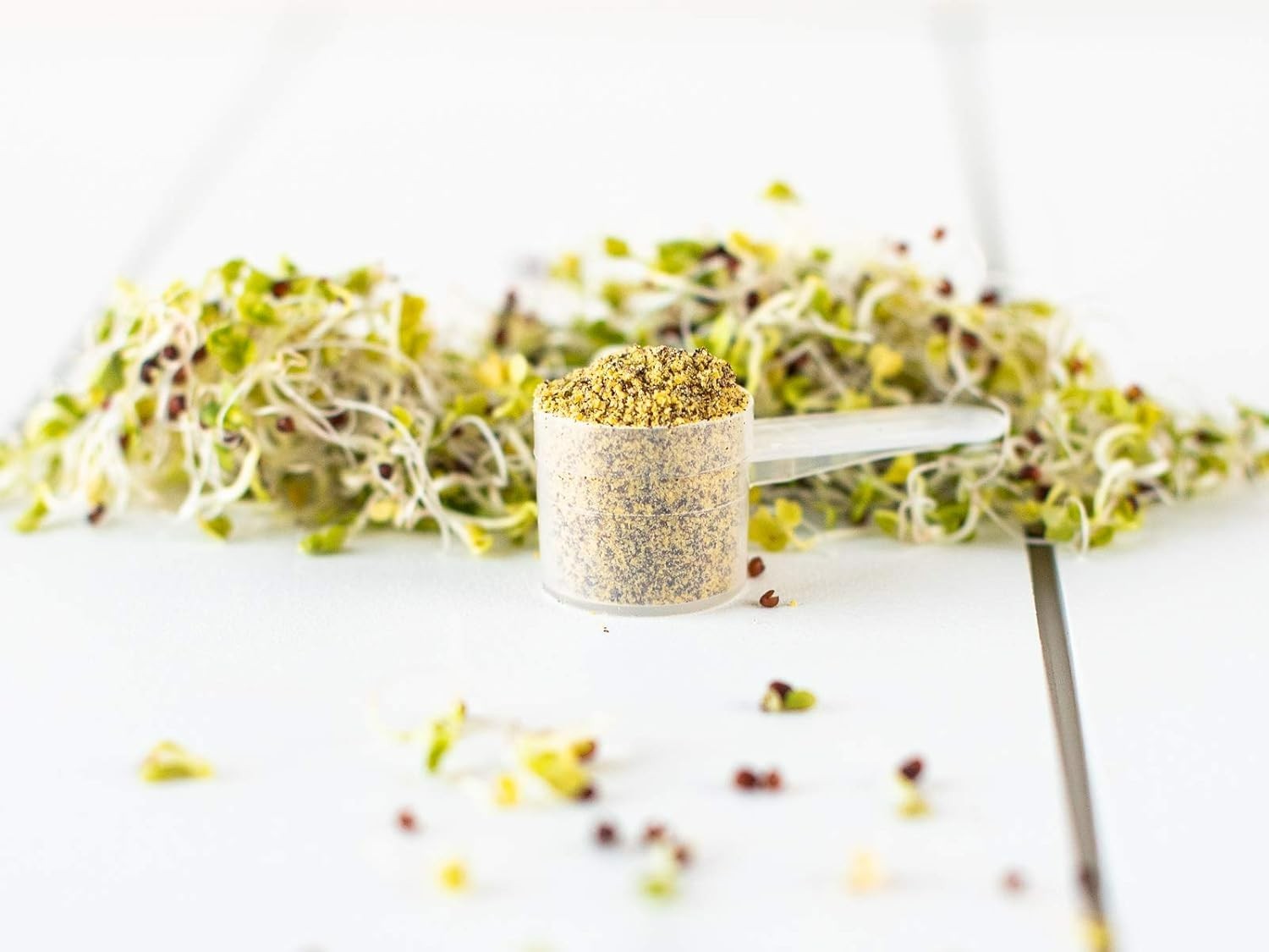 KOYAH Organic Broccoli Sprout Powder Freeze-Dried Sulforaphane 36 Servings
