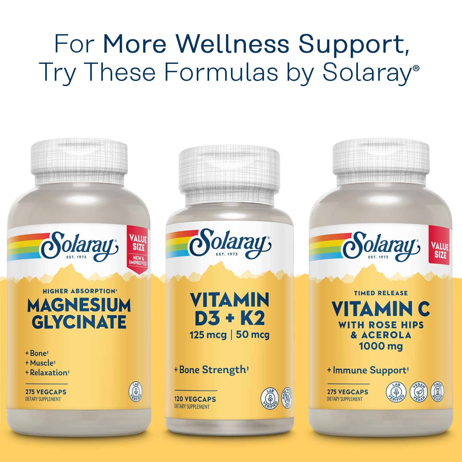 SOLARAY Mega Vitamin B-Stress, Timed-Release B 120 Count (Pack of 1)