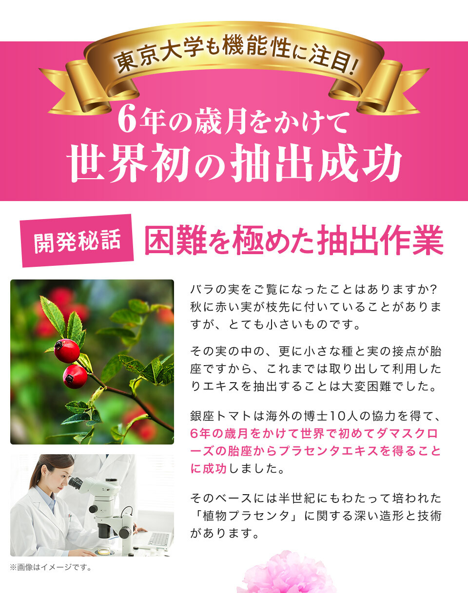 Ginza Tomato CHIECO Rose Placenta Jewel Collagen Peptide Vitamin C MADE IN JAPAN