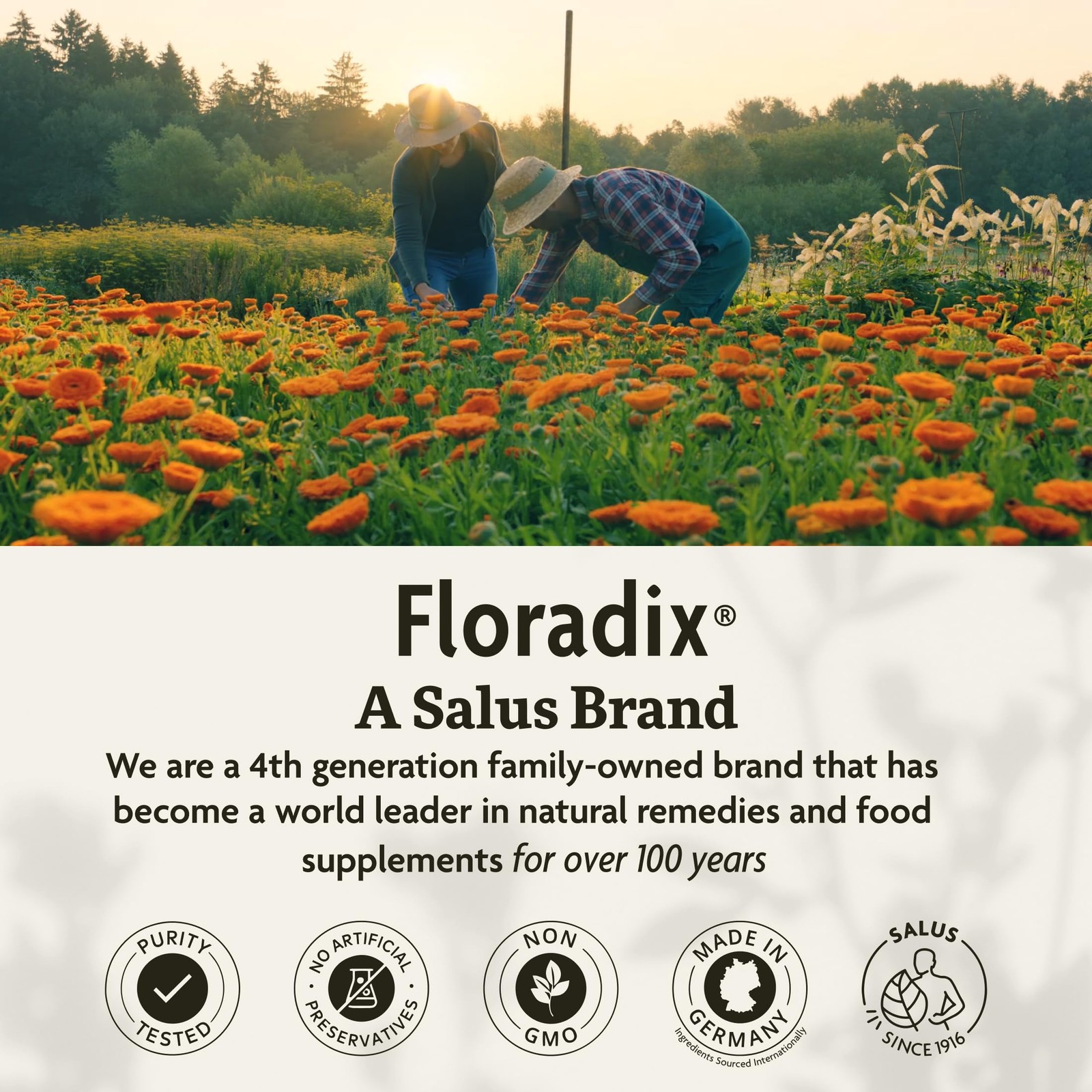 Floradix Iron Tablets – 120 Count (Pack of 1), Salus 120 Tabs