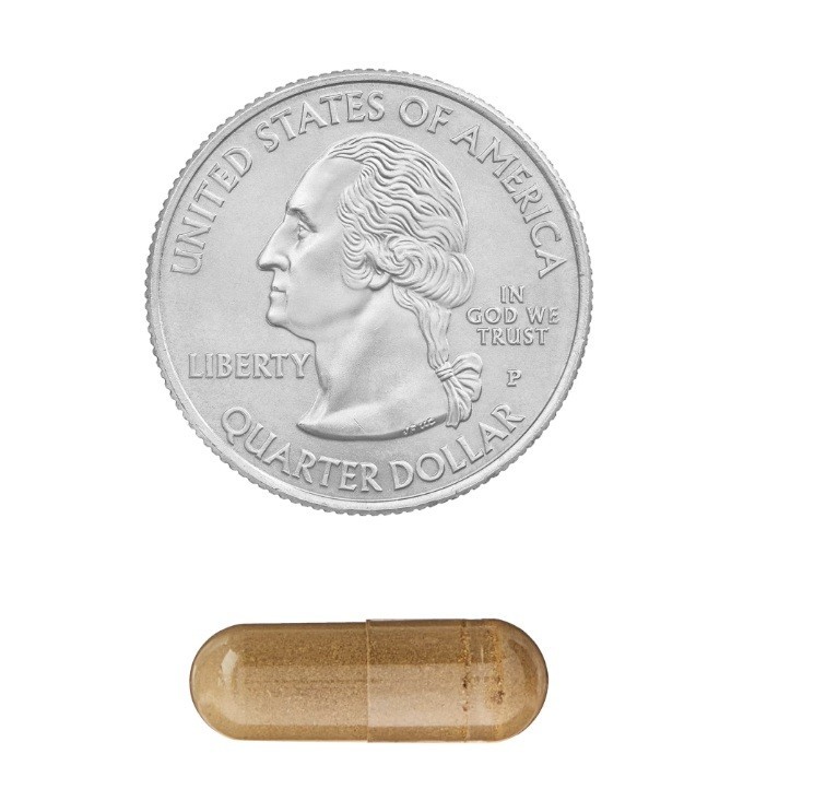 2 PACK Spring Valley Ginkgo Biloba Extract Capsules (120 Mg), 90 Count
