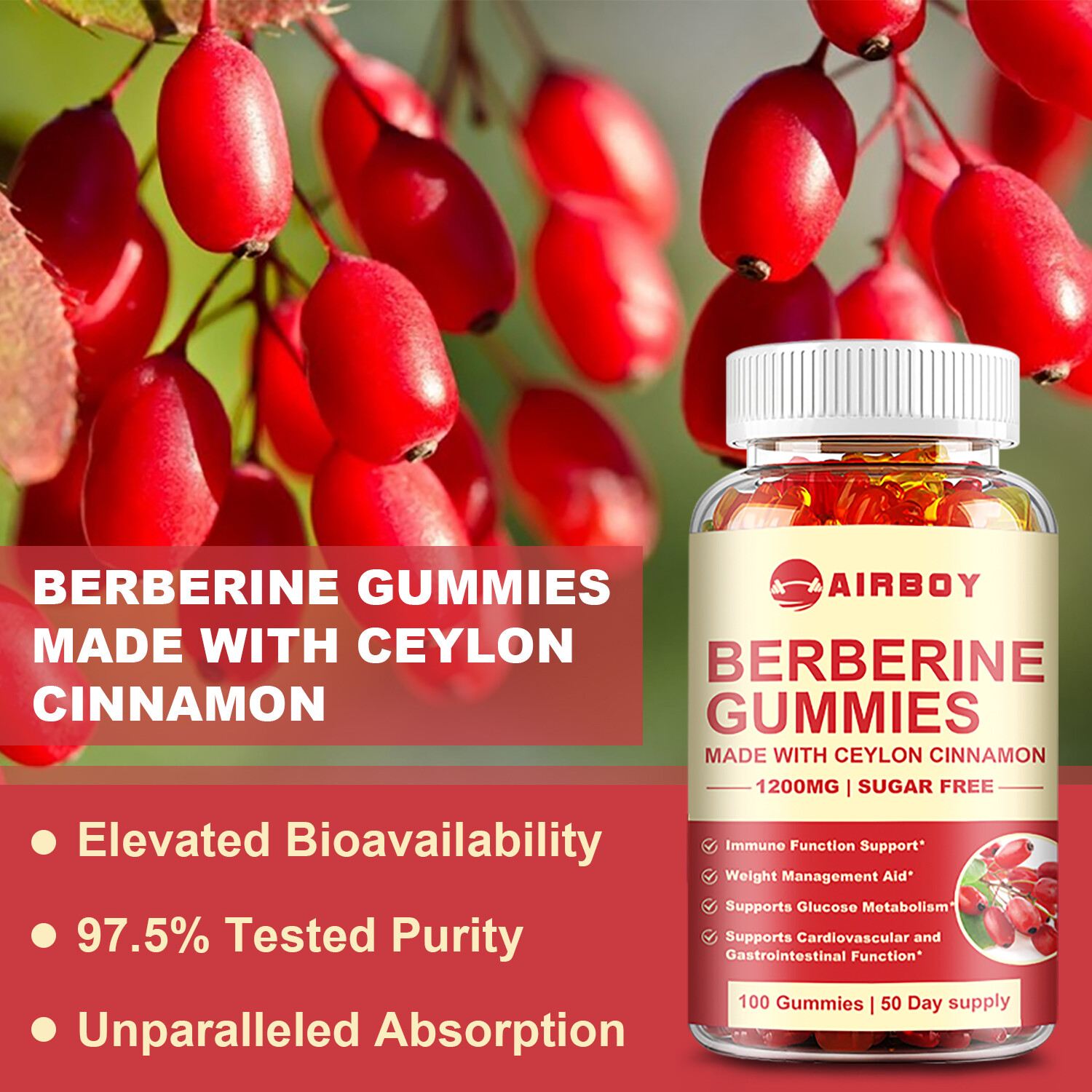 Berberine – Ceylon Cinnamon, Cardiovascular Health, Cholesterol Support