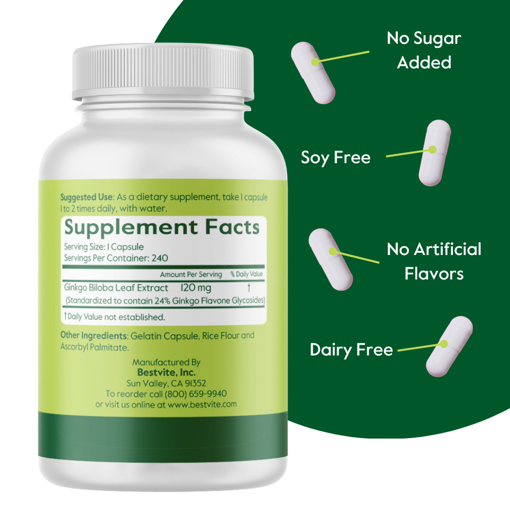 Ginkgo Biloba 120mg (240 Capsules) – Standardized Extract – No Stearates