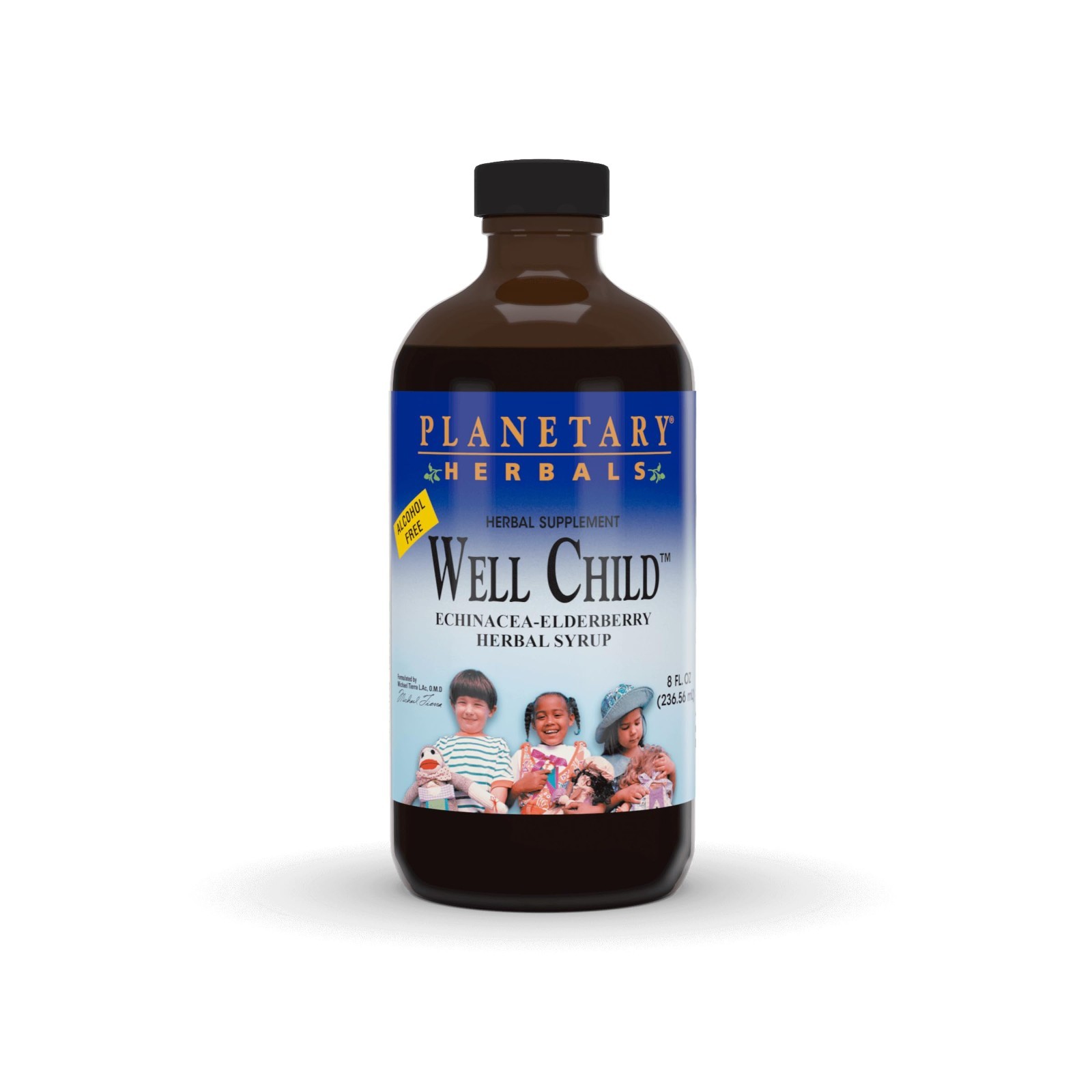 Echinacea Elderberry Syrup for Kids – Immune Support, 8 fl oz (236 ml)