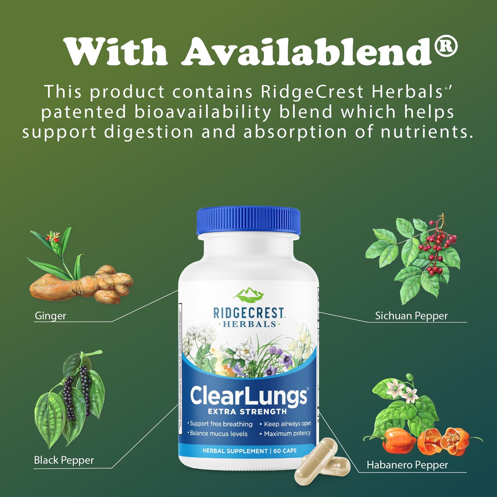 RidgeCrest Herbals ClearLungs Extra Strength, Daily 1 count (Pack of 60)