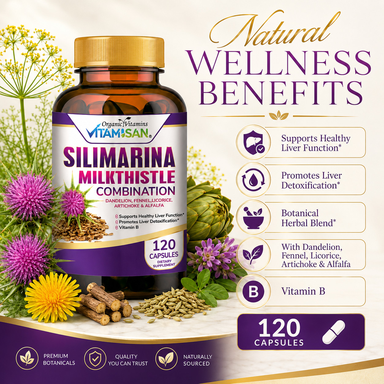 Milk Thistle (Silymarin) Extract 1200 mg liver cleanser liver detox cardio 120 c