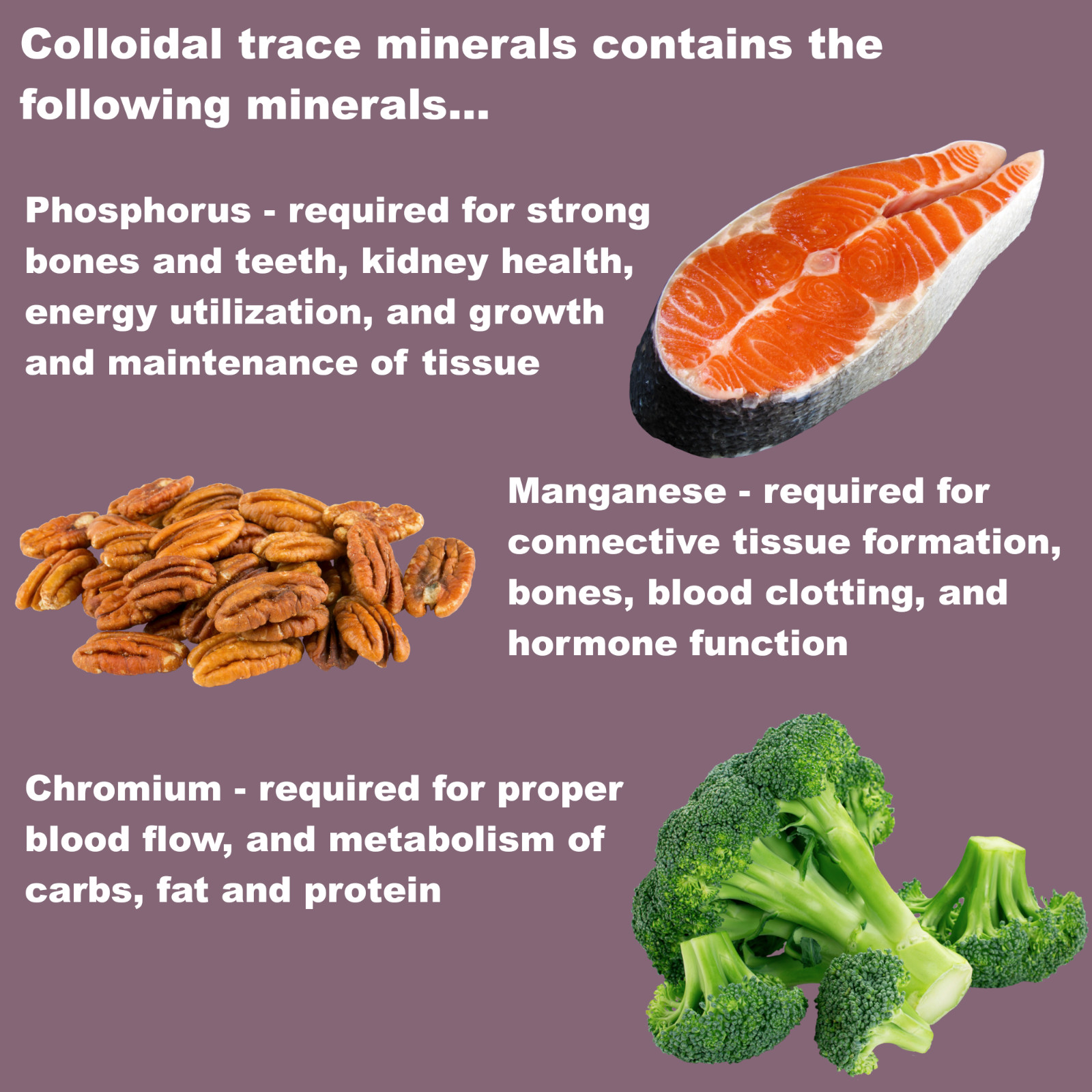 LifeLink Colloidal Trace Minerals | 100 capsules | Multi-Mineral Supplement