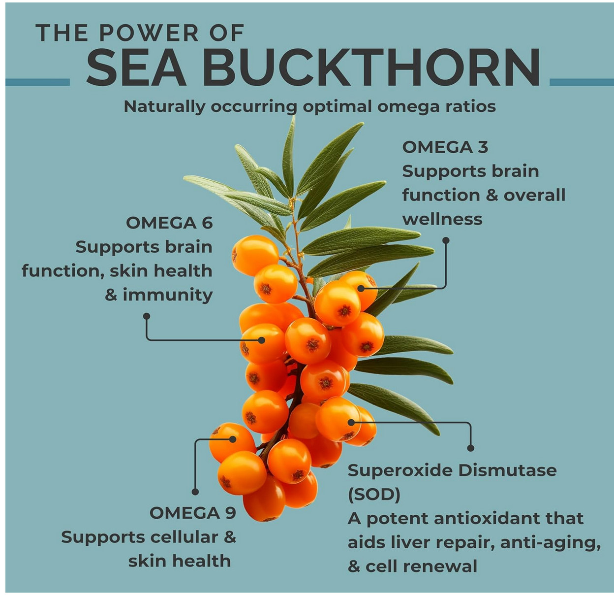 Organic Himalayan Sea Buckthorn Berry Oil, 0.45 fl oz (13.3 ml)