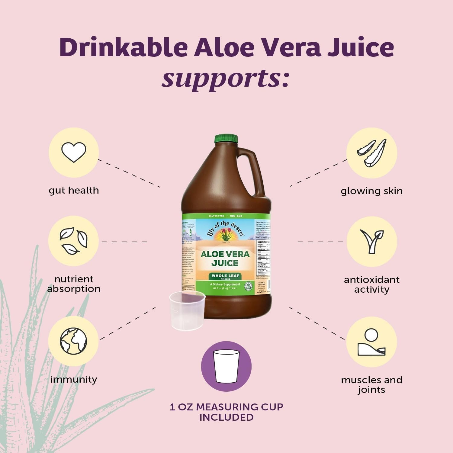 Lily of the Desert Aloe Vera Juice – Whole Leaf (Filtered) 128 fl.oz (Pack of 2)
