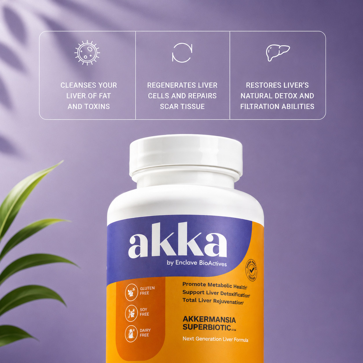 Akka Akkermansia Superbiotic Liver Support Milk Thistle Detox Repair 60 Caps