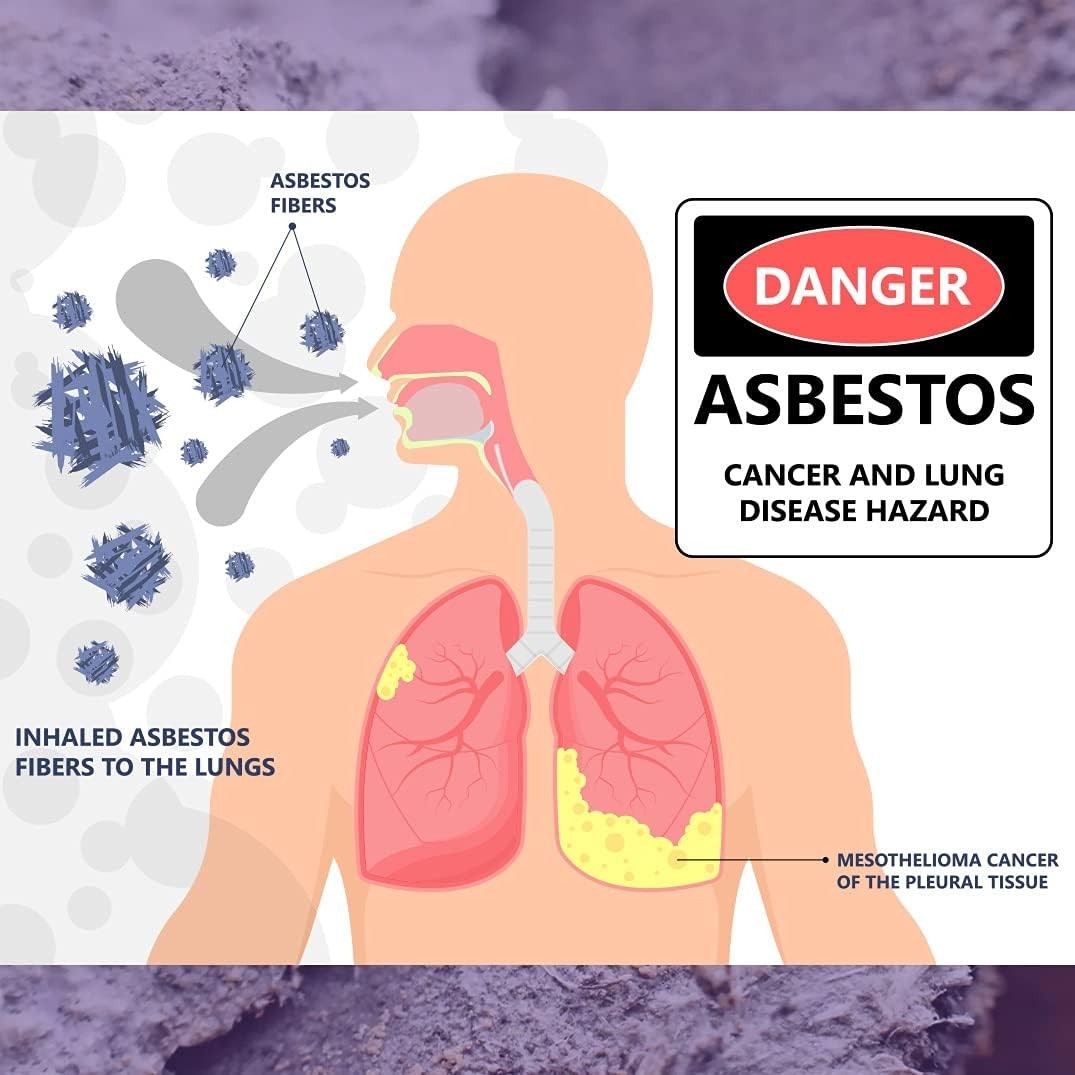 Asbestos Test Kit 2 Samples NVLAP Lab Analysis with Return Mailer 3-5 Days