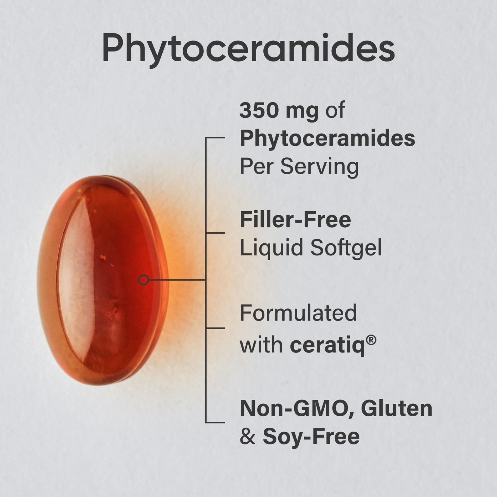 Phytoceramides 350mg Softgels | Plant-Derived Skin Hydration | Non-GMO, Soy-Free