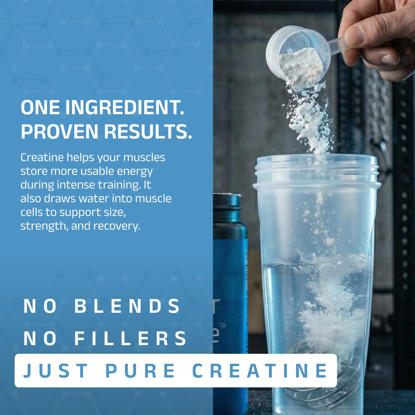 Cleanform Nutrition Cleanform Purest Creatine Monohydrate Powder – Ultra-Pure