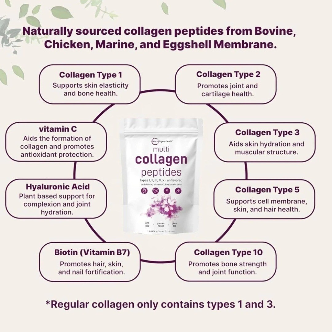1-3Pack Multi Collagen Peptides Powder 1 lb Hydrolyzed Protein Type I II III V X