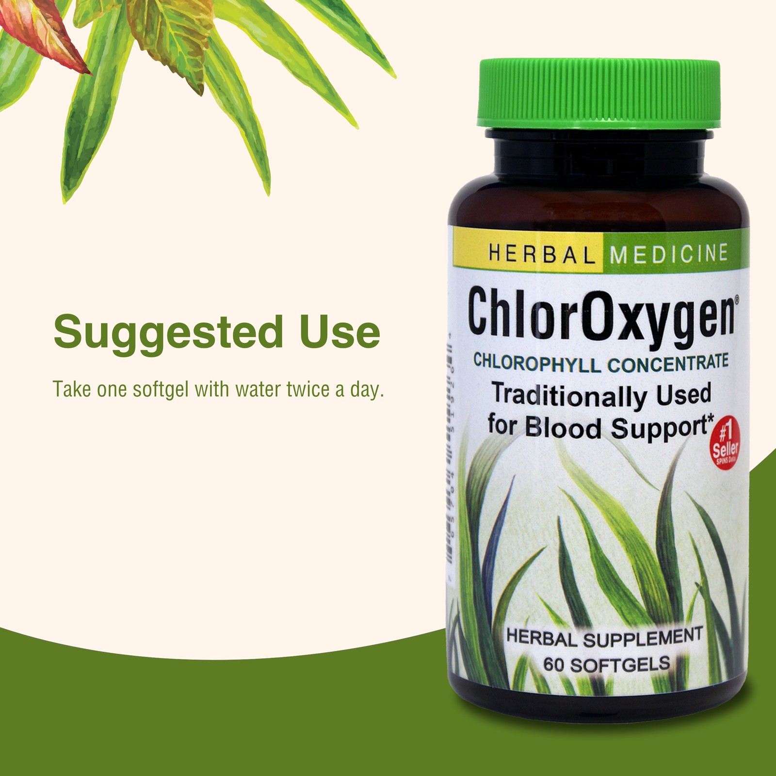 Herbs Etc. ChlorOxygen, Chlorophyll Concentrate Dietary Supplement, 60 Softge…