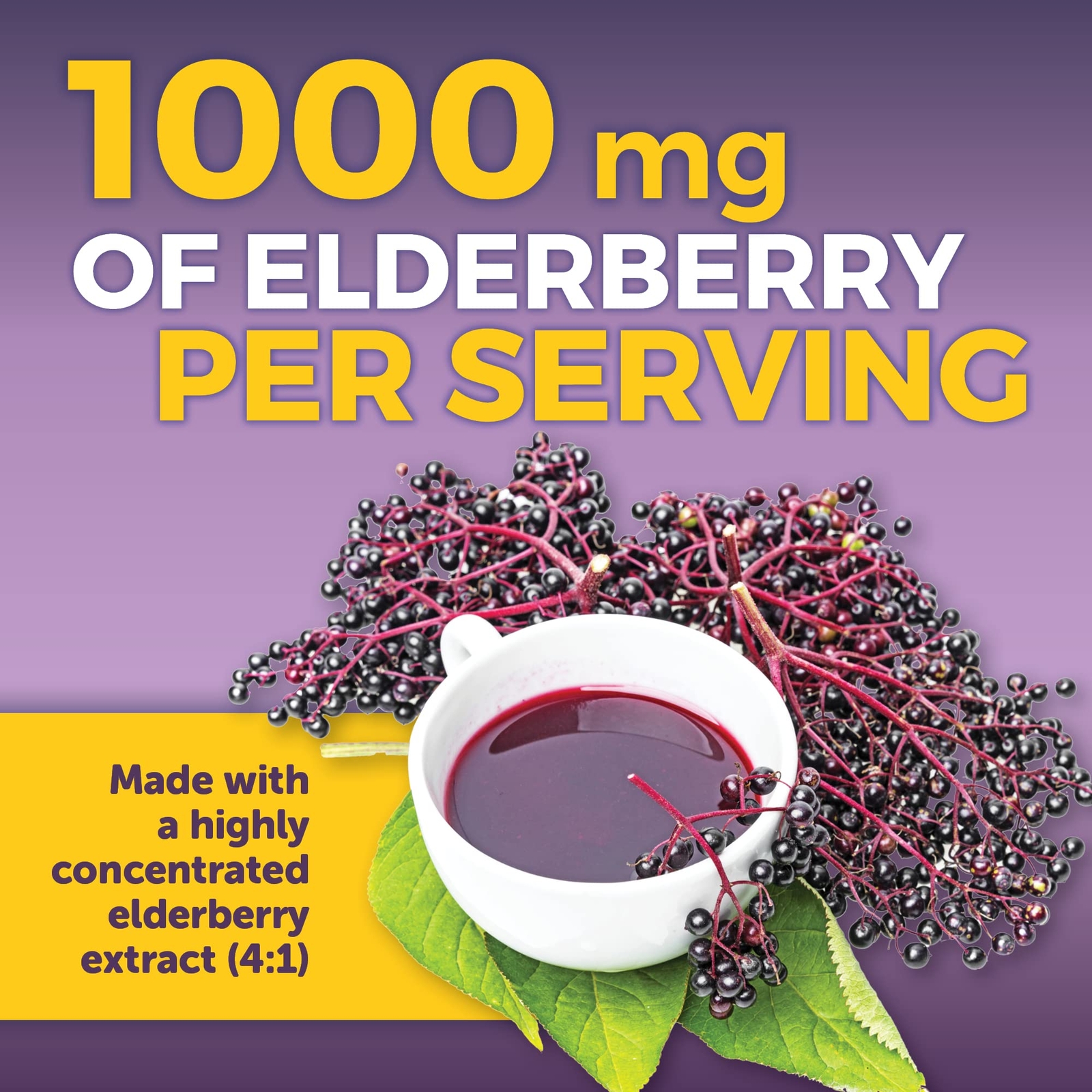 Viva Naturals Elderberry Supplement With Zinc Vitamin C 120 Count Immune Support
