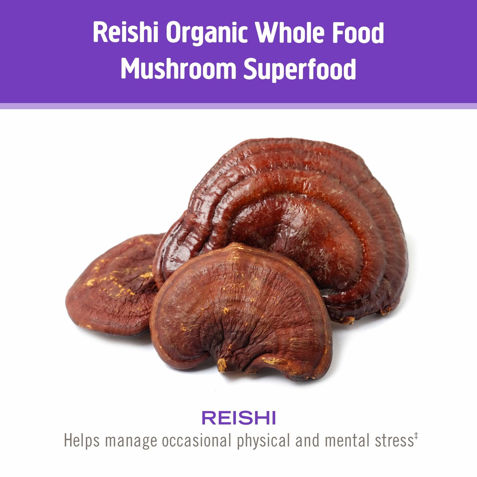 Om Mushroom Superfood Sleep Capsules 90 Count Melatonin Reishi L Theanine