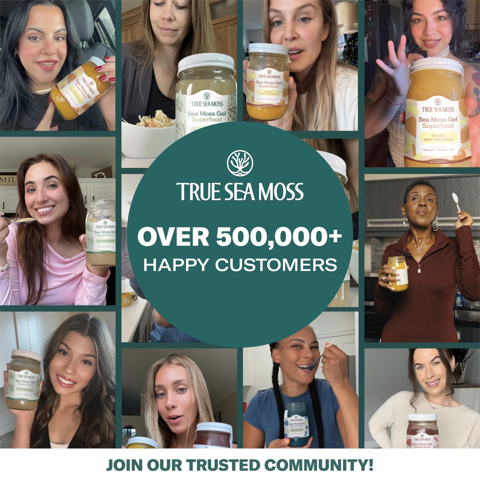 Trueseamoss Sea Moss Gel In Usa Pack Of 1 Labels May Vary