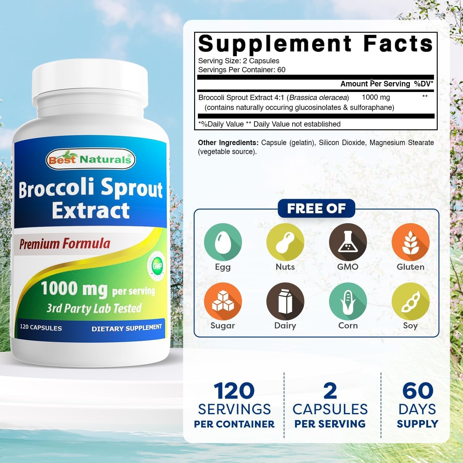 Broccoli Sprouts Extract 1000 mg – 120 Capsules, Non-GMO & Gluten-Free