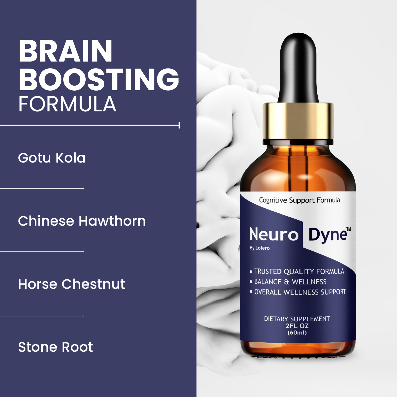 (3 Pack) Neurodyne Drops Advanced Nerve Health Support, Neuro Dyne (6oz)