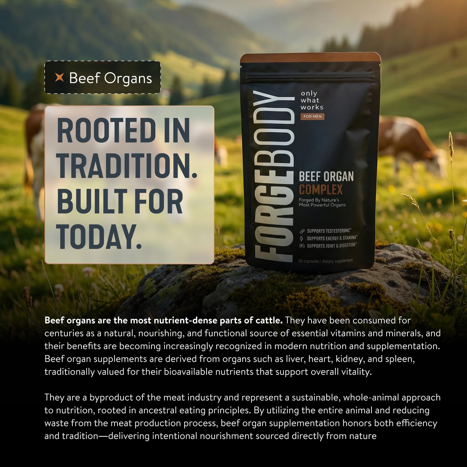 FORGEBODY Beef Organ Complex Ancestral NosetoTail Nutrition for Athletes and…