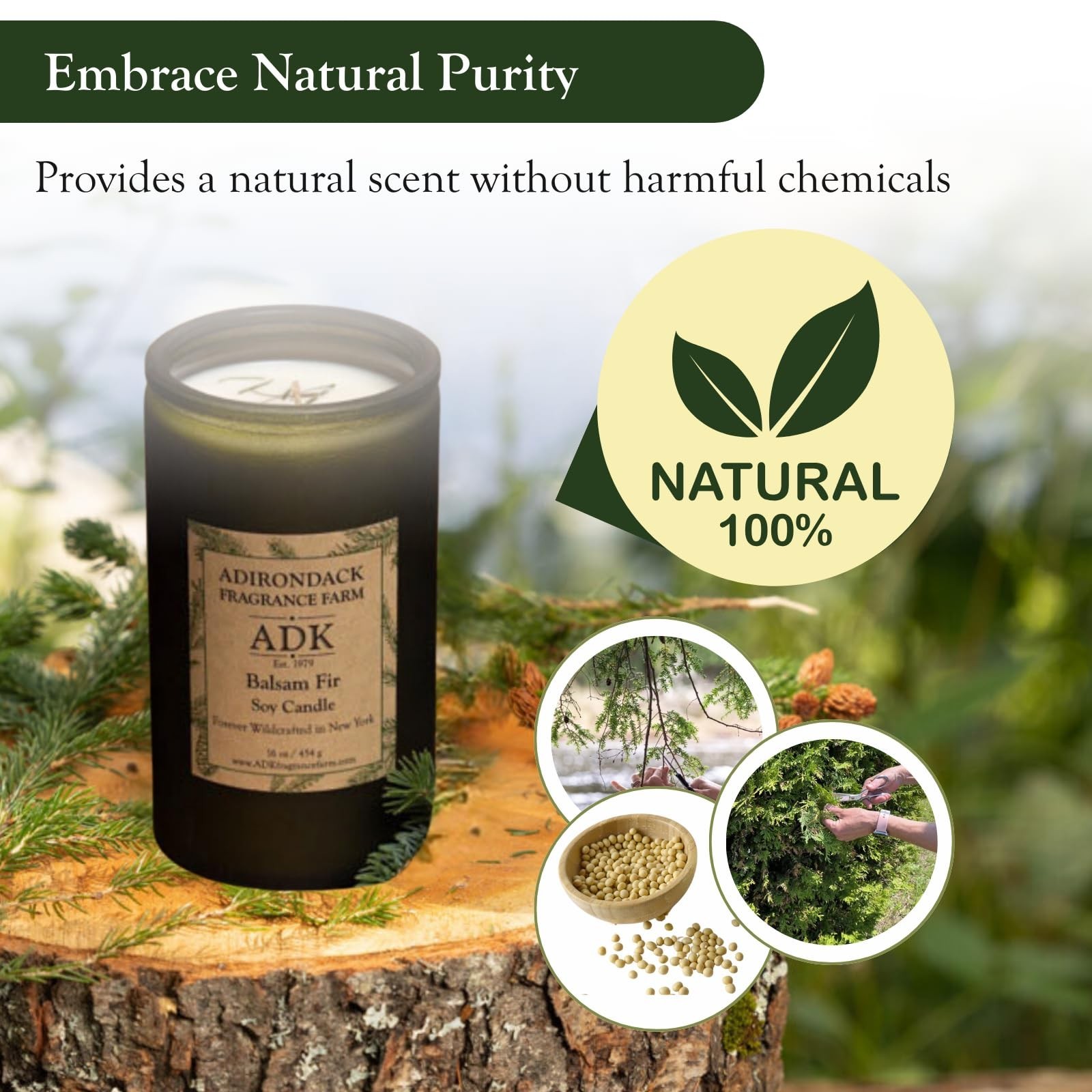 ADK Balsam & Fir Scented Candle, 10 Oz Aromatherapy Candle, Proudly Poured in…