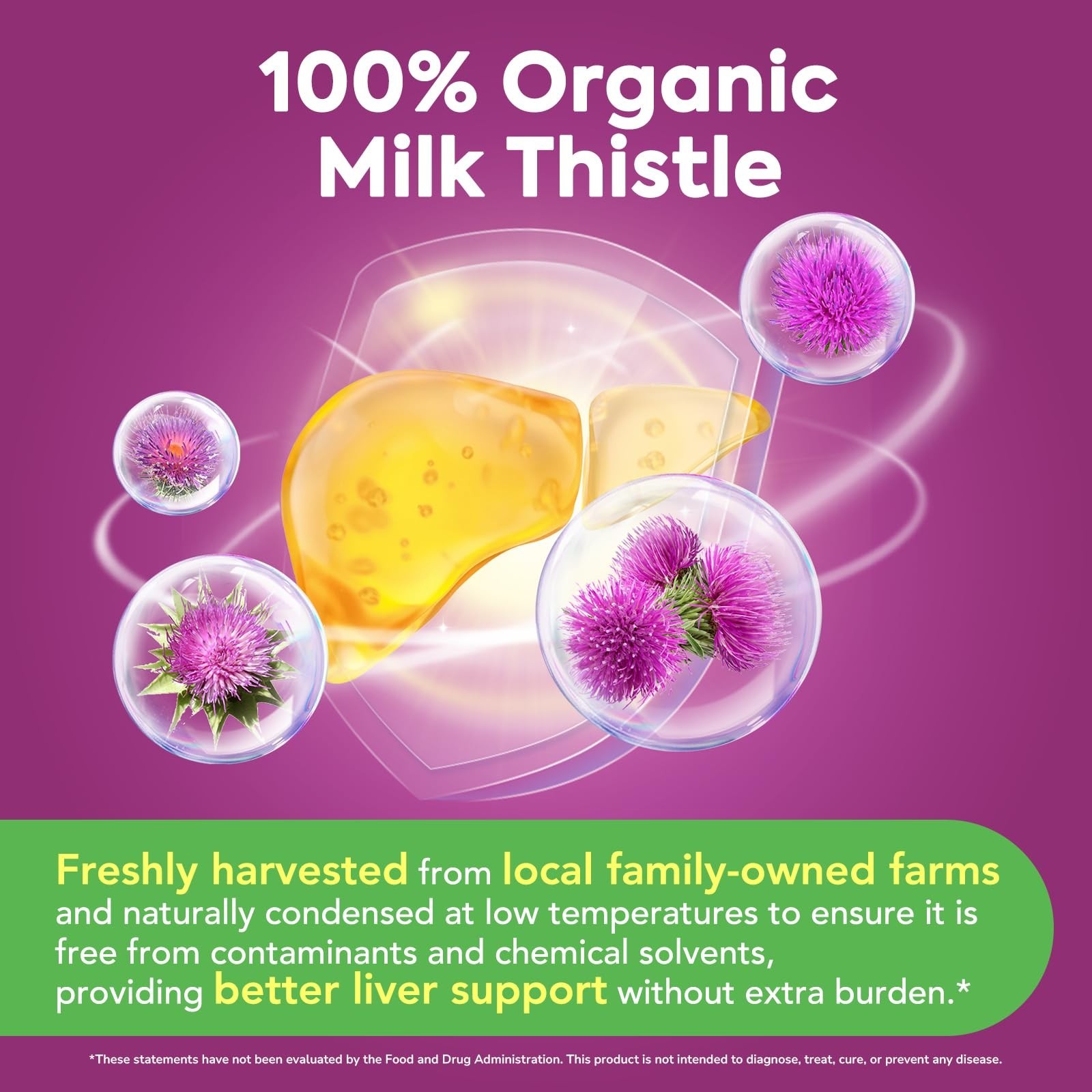 Organic Milk Thistle Extract 80% Silymarin – Liver Detox Support, Non-GMO, 90 Ve