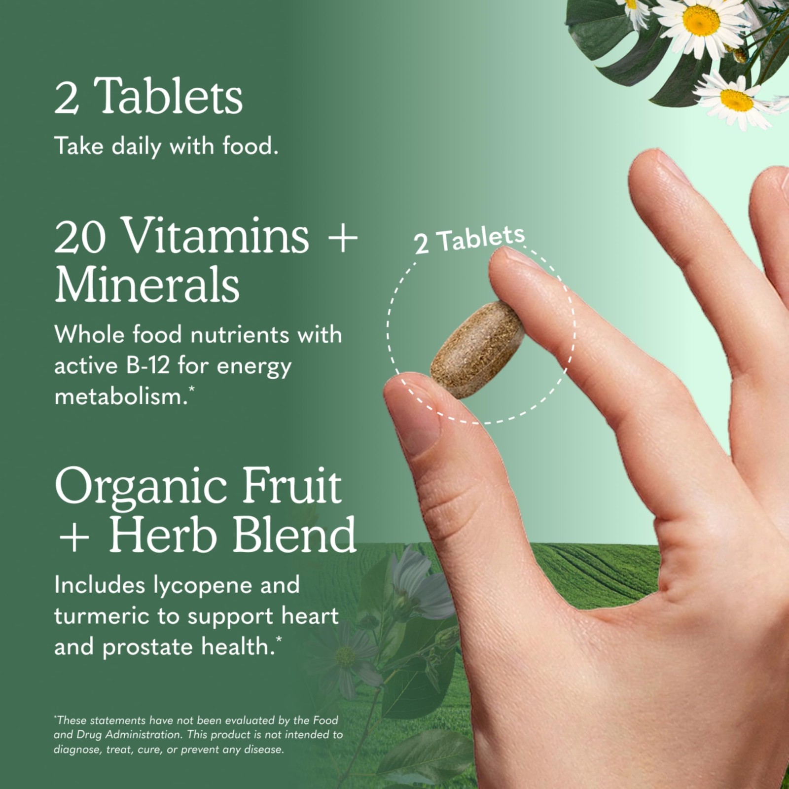 Garden of Life Organics Whole Food Multivitamin 120 Count (Pack 1), N/a