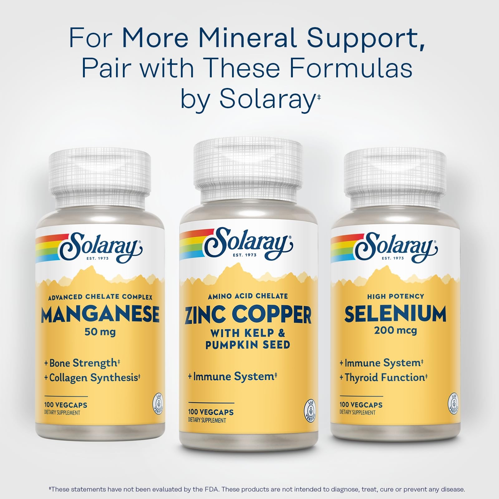 SOLARAY Zinc Copper Amino Acid Chelate – 100 Count (Pack of 1), No Color