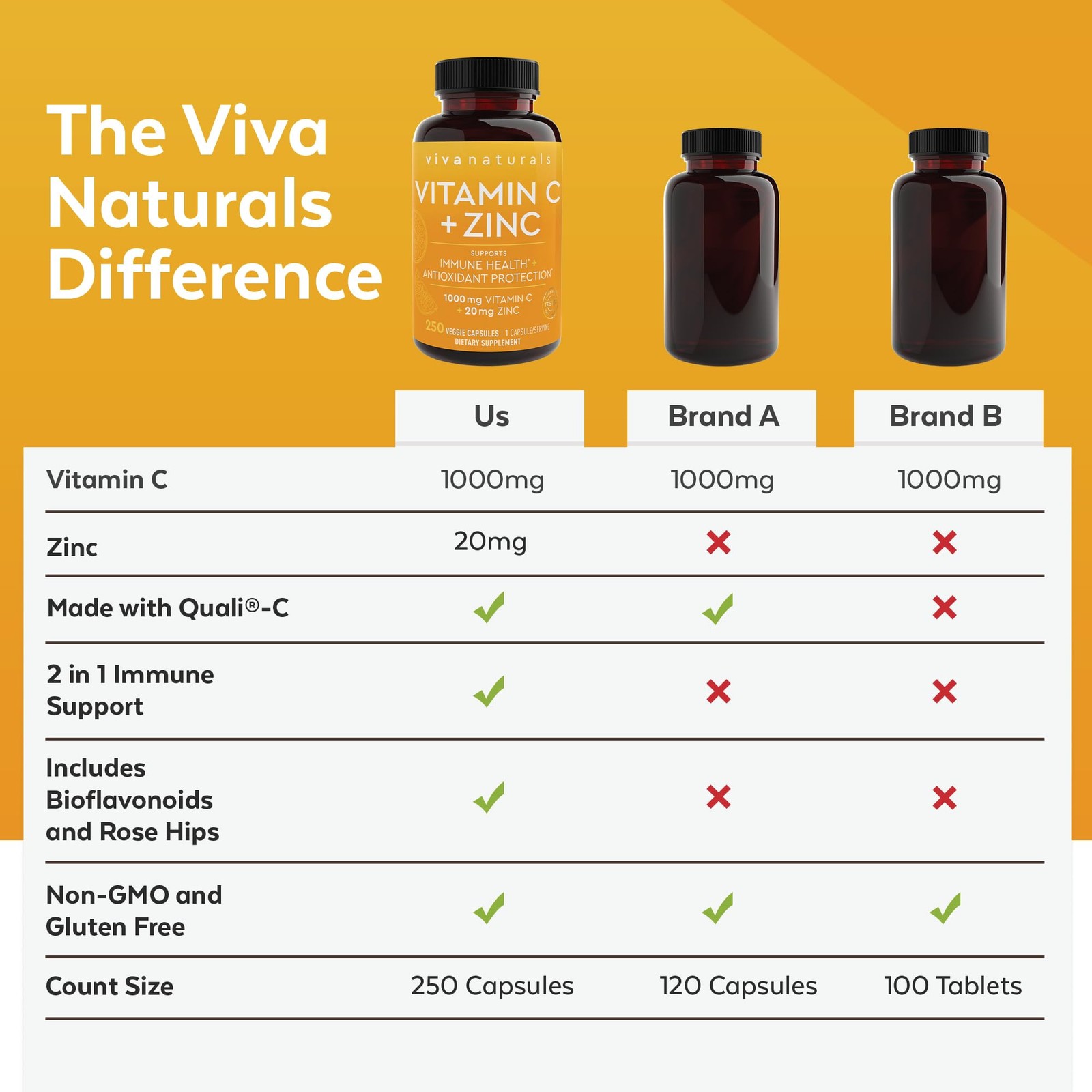 Viva Naturals Vitamin C and Zinc Supplement (250 250 Count (Pack of 1)