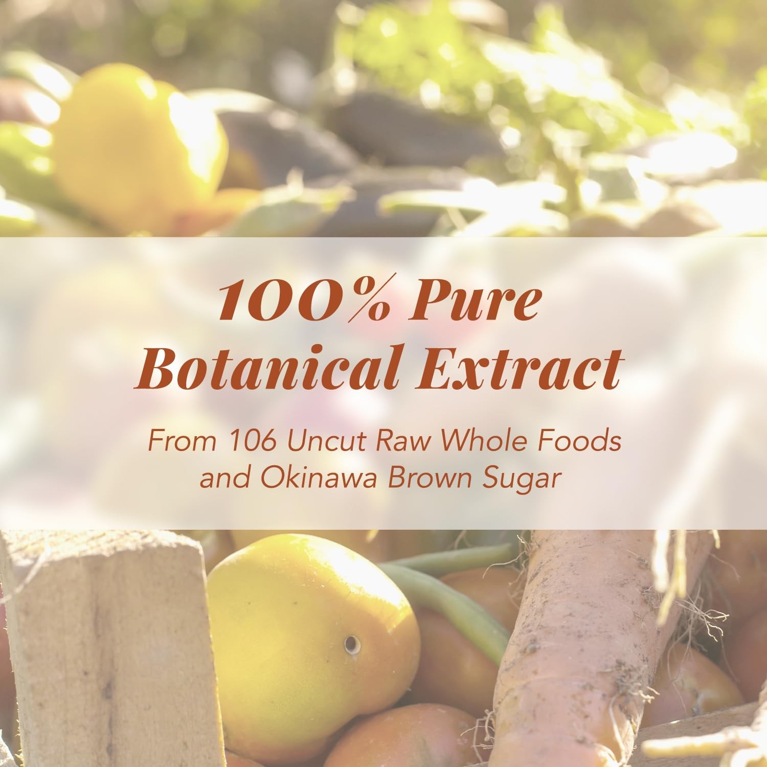 Japan Digestive Ultimate Enzyme Drink – Pure Digestive Enzymes for Digestion,…
